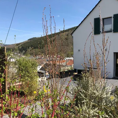 Eifelsuite Villa *